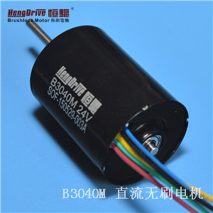 HJC黄金城30mm内转子无刷马达